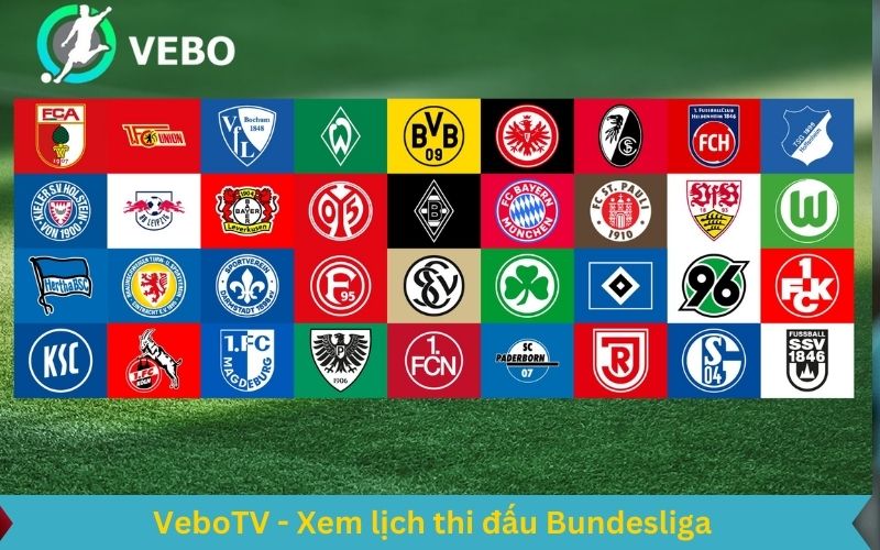 Giới thiệu về Bundesliga 2024/2025