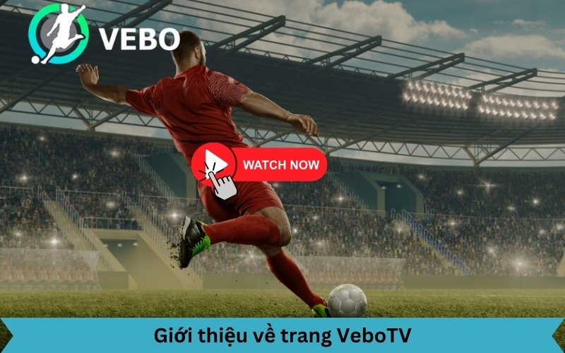 tổng quan trang VeboTV nền tảng xem trực tiếp bóng đá miễn phí