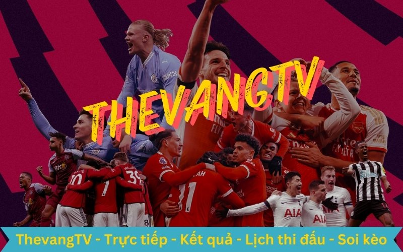 Thevang TV xem trực tiếp bóng đá bình luận viên chuyên nghiệp