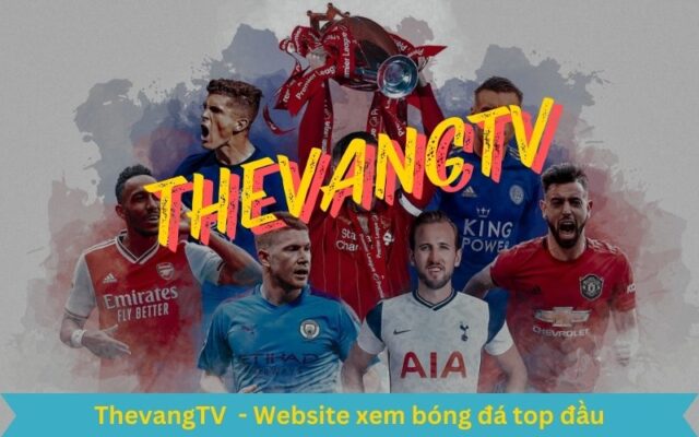 Thevang TV xem trực tiếp bóng đá bình luận viên chuyên nghiệp