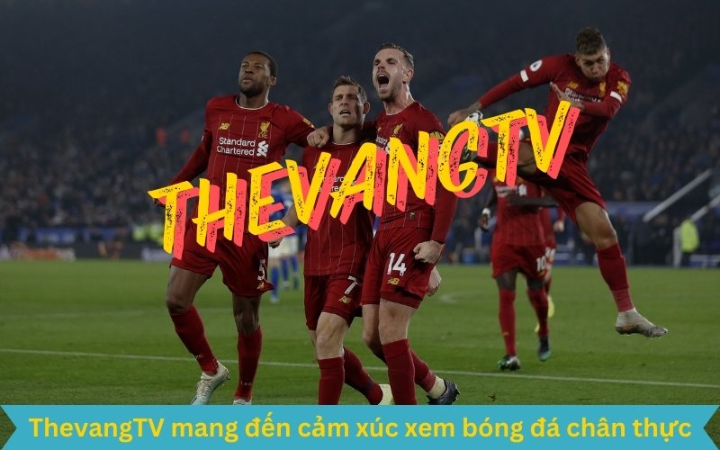 ThevangTV nền tảng xem bóng đá miễn phí