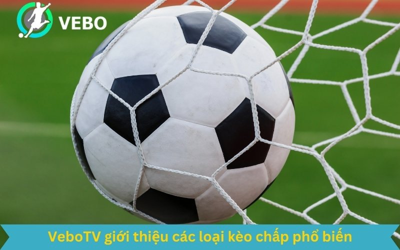 VeboTV hướng dẫn phân biệt cách chơi kèo chấp